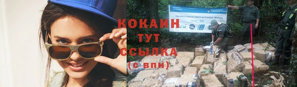 дурь Бронницы