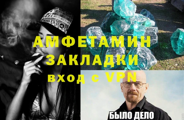 индика Белая Холуница